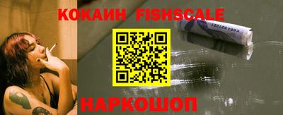 твердый Сланцы