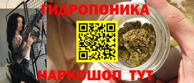 твердый Сланцы