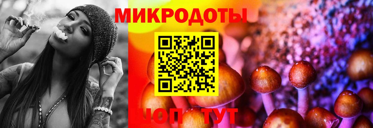 Псилоцибиновые грибы MAGIC MUSHROOMS  купить   Рязань  Вход с VPN 